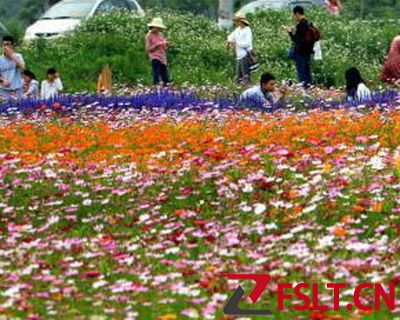 佛山丹灶翰林湖都市型生態(tài)農(nóng)業(yè)園